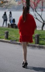 红色外套肉丝美腿高跟美女